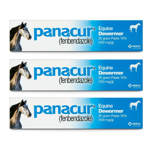 PANACUR Dewormer Horse Paste 10% - 3 pack - 100mg Each